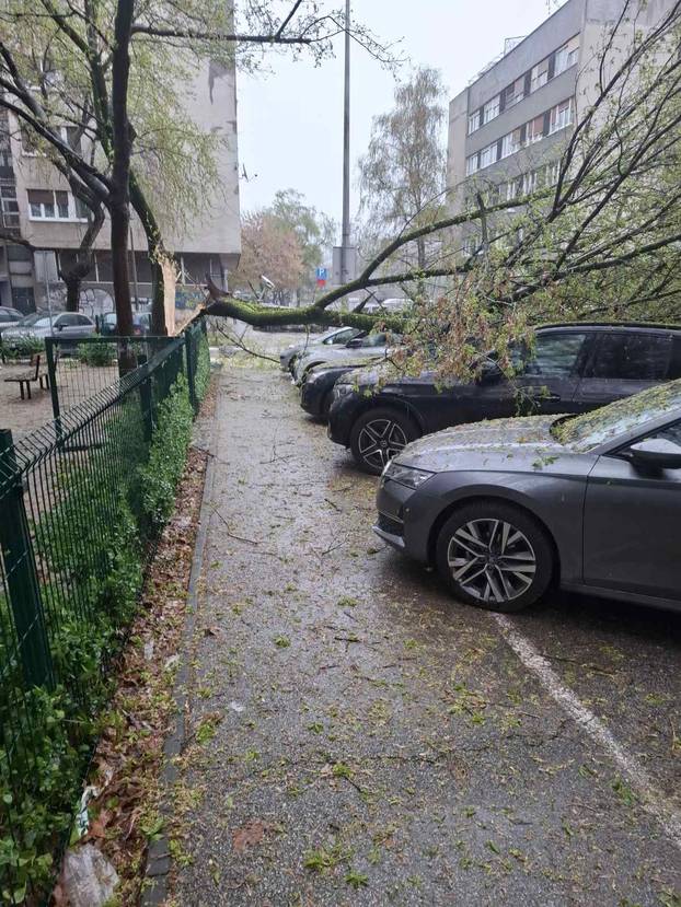 FOTO Apokalipsa u Zagrebu: Stabla drobila automobile, izdano novo upozorenje!