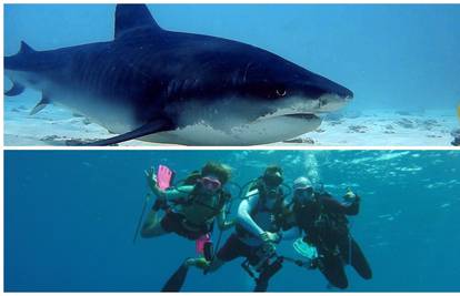 Ronili smo s morskim psima na Maldivima, a ovo su svi savjeti i upute: Ne bježite, bit ćete plijen