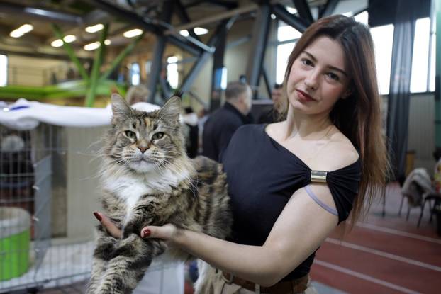 Rijeka: Međunarodna izložba mačaka