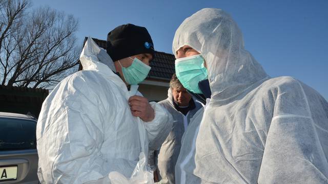 Njemački znanstvenici: Europa se suočava s najvećom epidemijom ptičje gripe dosad