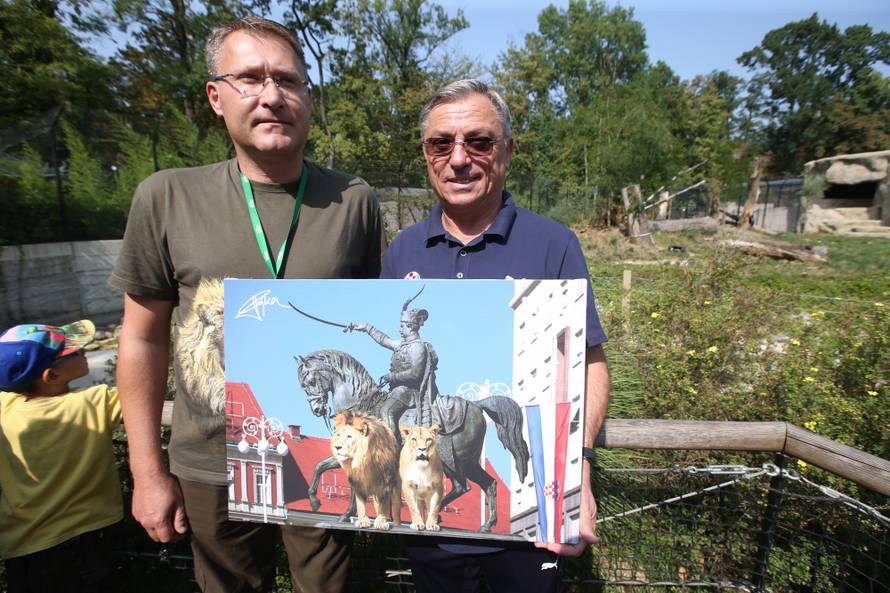 Napokon znamo spol: Lavići iz našeg ZOO-a su curica i dečko