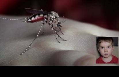 Yeah Yeah Yeahs objavili spot za novu pjesmu "Mosquito"
