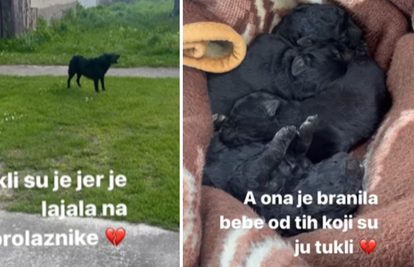 Volonteri u Slavoniji satima spašavali psa: 'Nitko nije htio pomoći, tukli su je trimerom...'