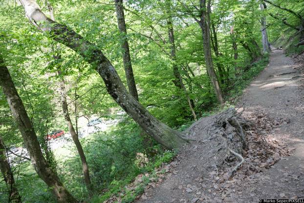 Zagreb: Tri tjedna nakon razorne oluje na Sljemenu i dalje vidljive posljedice 