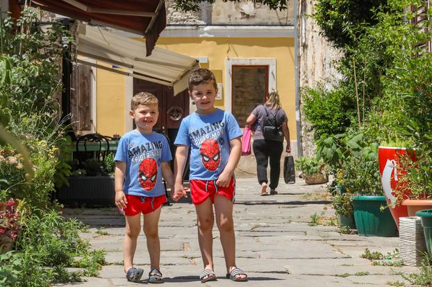 Pula: Toni i njegov brat Noah od drvene su kašete ježu napravili kuću