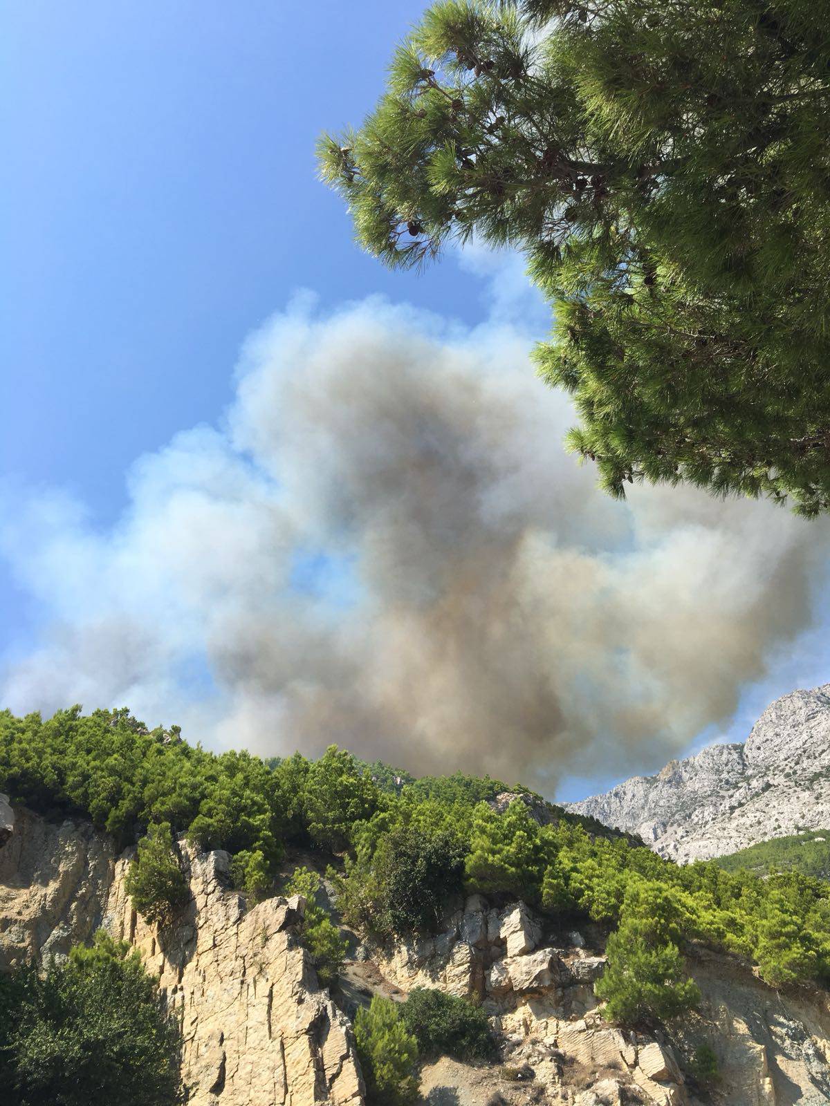 Vatra se širi: Dvije kuće skoro izgorjele, turisti spašavali aute