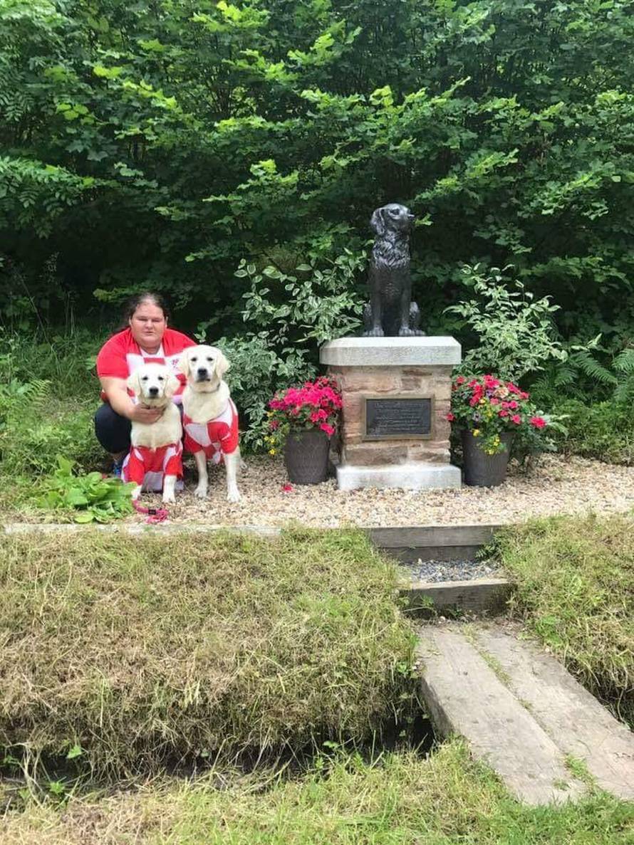 Tu su i hrvatski ljepotani: 361 zlatni retriver na okupu