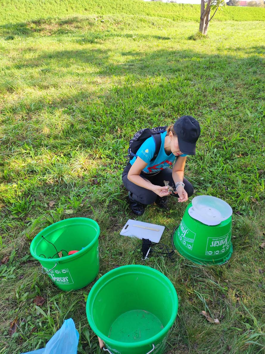 Signalni rak prijeti Plitvičkim jezerima: 'Jede sve što stigne, zbog njega se urušava obala'