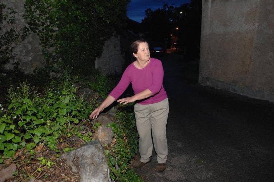 G. Kovačić/Pixsell