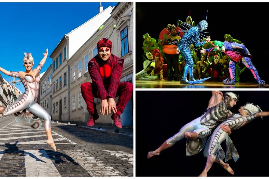 Cirque du Soleil za 24sata: 'Iza pozornice govorimo 17 jezika, a djeca putuju s nama na turneje'