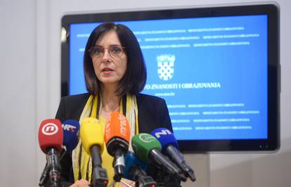 Ministrica Divjak na sjednici: 'Regulirat ćemo rad od kuće'