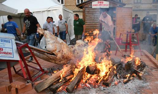 VIDEO Vol Nestaško od 660 kg stvarno je bio nestašan: Pukla šipka od ražnja pa pao u vatru!