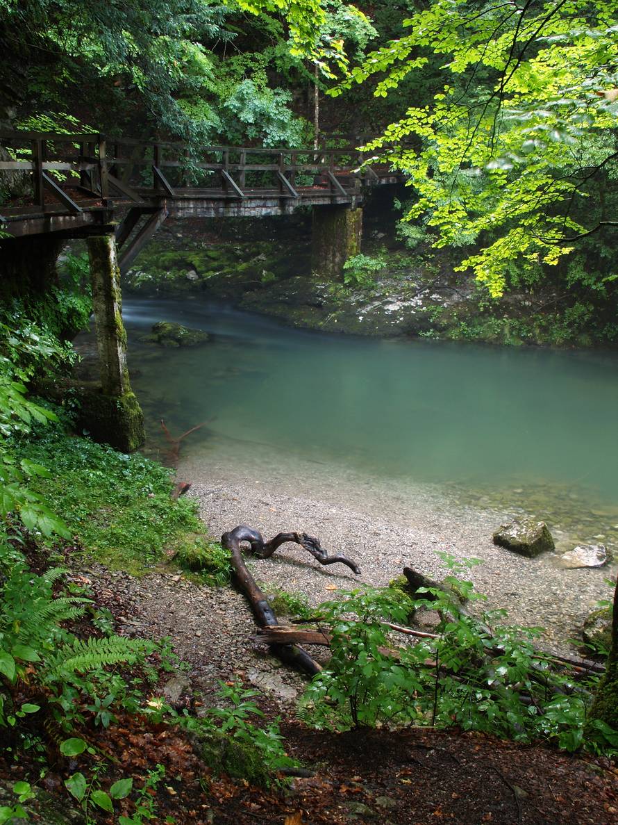 Uživajte u finoj hrani, utrkujte se, pjevajte, plešite i sjajno se zabavite u idiličnom Kamačniku