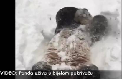 Kakva radost: Panda uživa u snijegu kao da sutra ne postoji