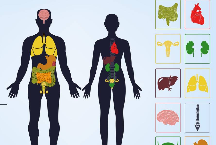 Uvijek gladni? Nekoliko razloga zašto vam želudac neprestano govori da vam je vrijeme za jelo