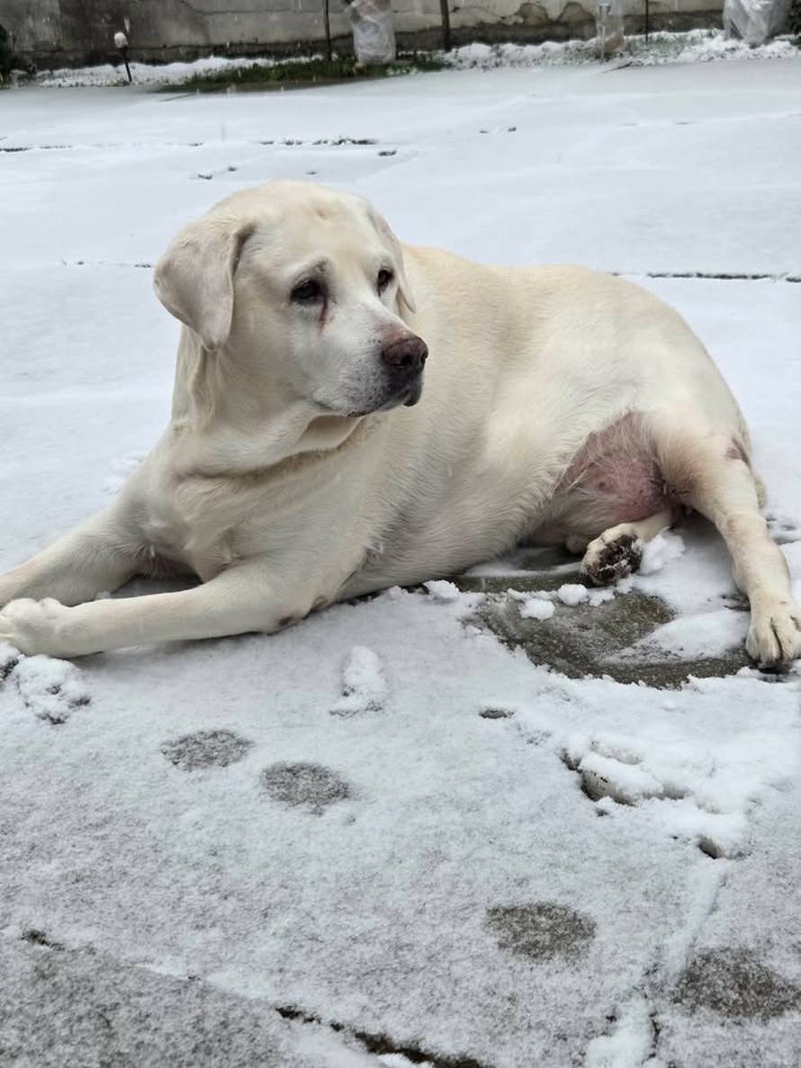 Općinska komunalka sama 'izlopatala' snijeg sa staze: 'Nema nikakve drame u tome'