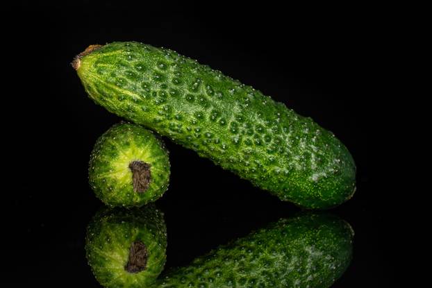 Fresh pickling cucumber isolated on black glass