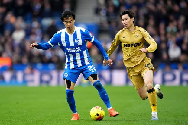 Brighton and Hove Albion v Crystal Palace - Premier League - American Express Stadium