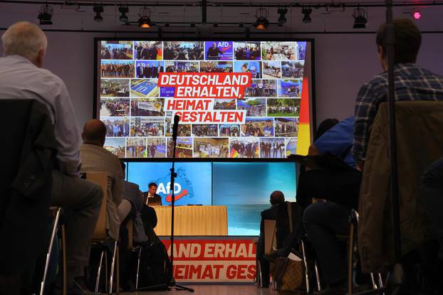 AfD Mecklenburg-Vorpommern state party conference