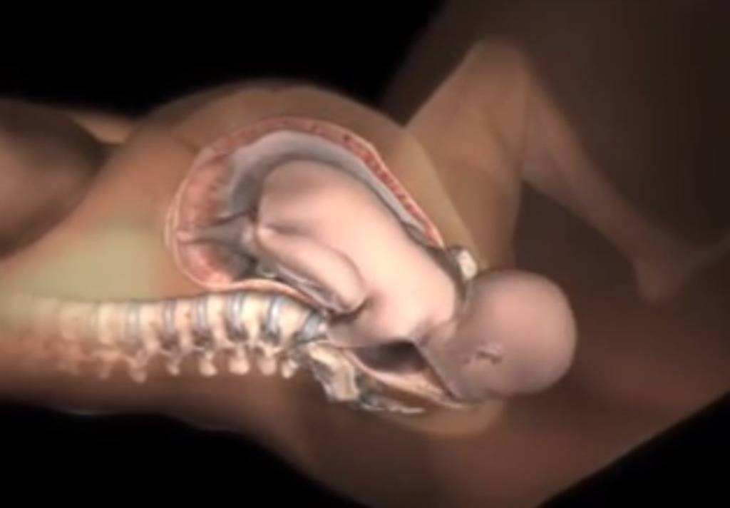 Screenshot/Pregnancy Videos