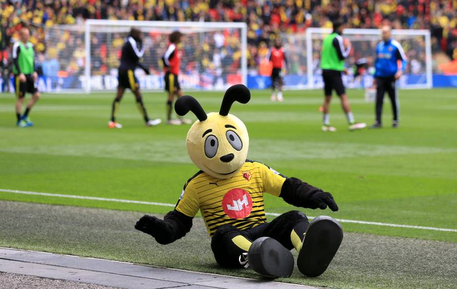 Crystal Palace v Watford - Emirates FA Cup - Semi-Final - Wembley Stadium