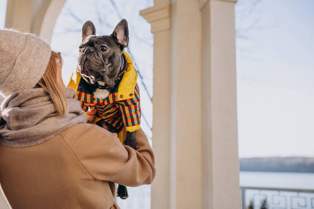 Beautiful woman with french bulldog walking in park