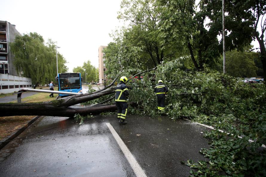 Zagreb: Vatrogasci uklanjaju stablo koje je palo u Ulici Svetog Mateja