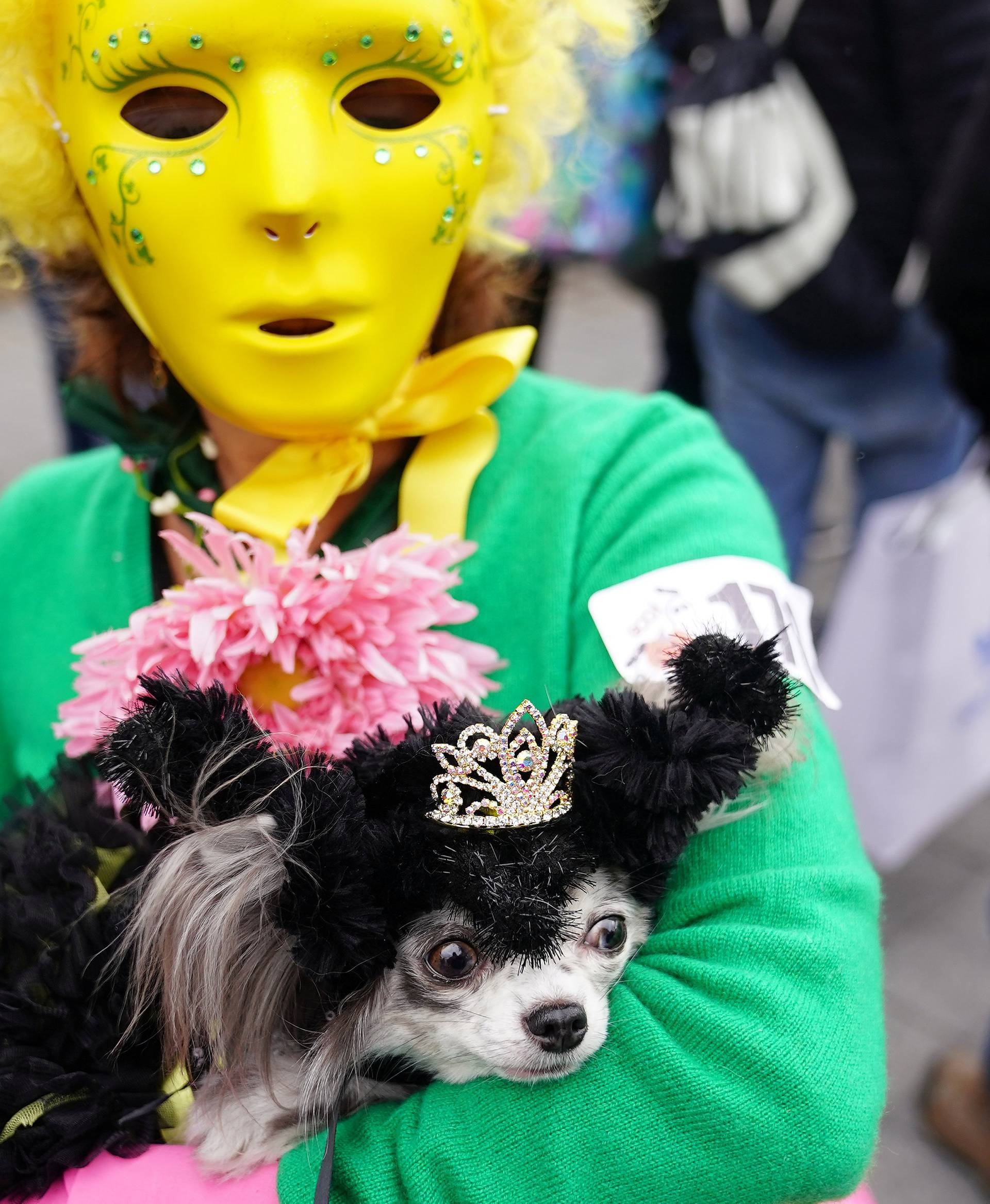 People attend the Tompkins Square Park Halloween Dog Parade at East River Park in the Manhattan borough of New York City