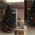 Dijete ukrasilo bakino božićno drvce - rezultat je nasmijao sve