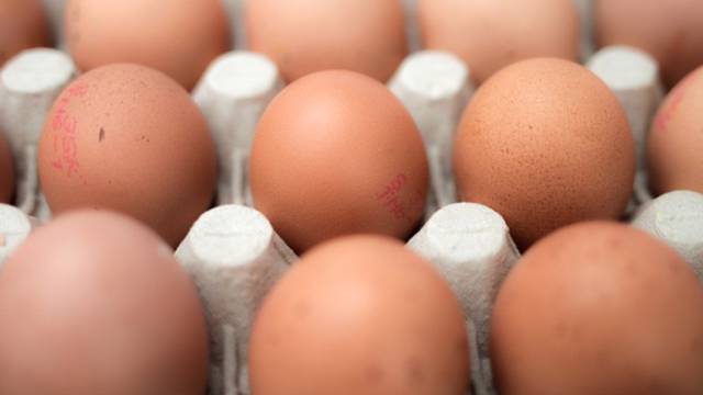 Ovo je 10 stvari o jajima koje sigurno do sada niste znali...