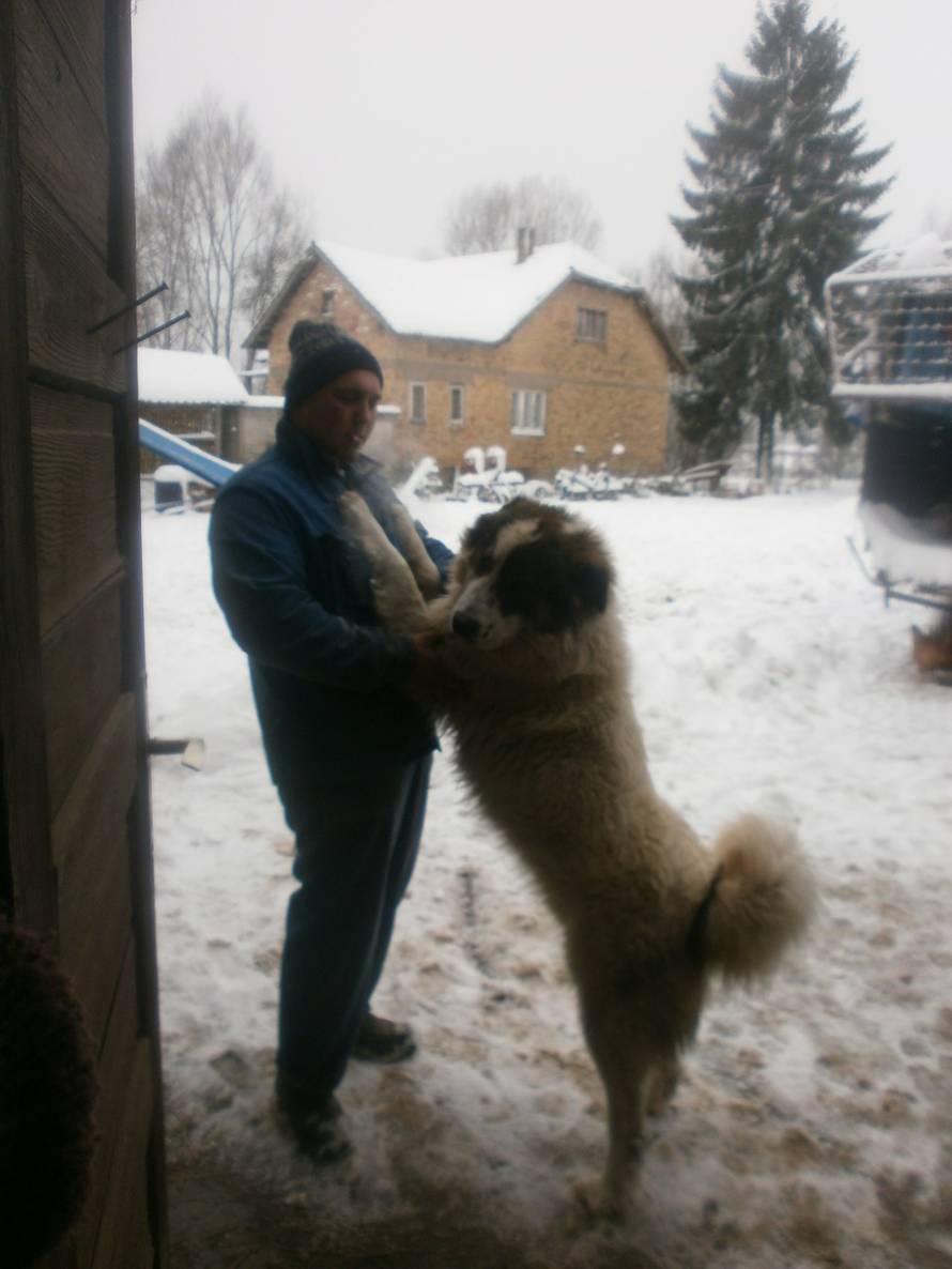 24ljubimci/Fotografije čitatelja