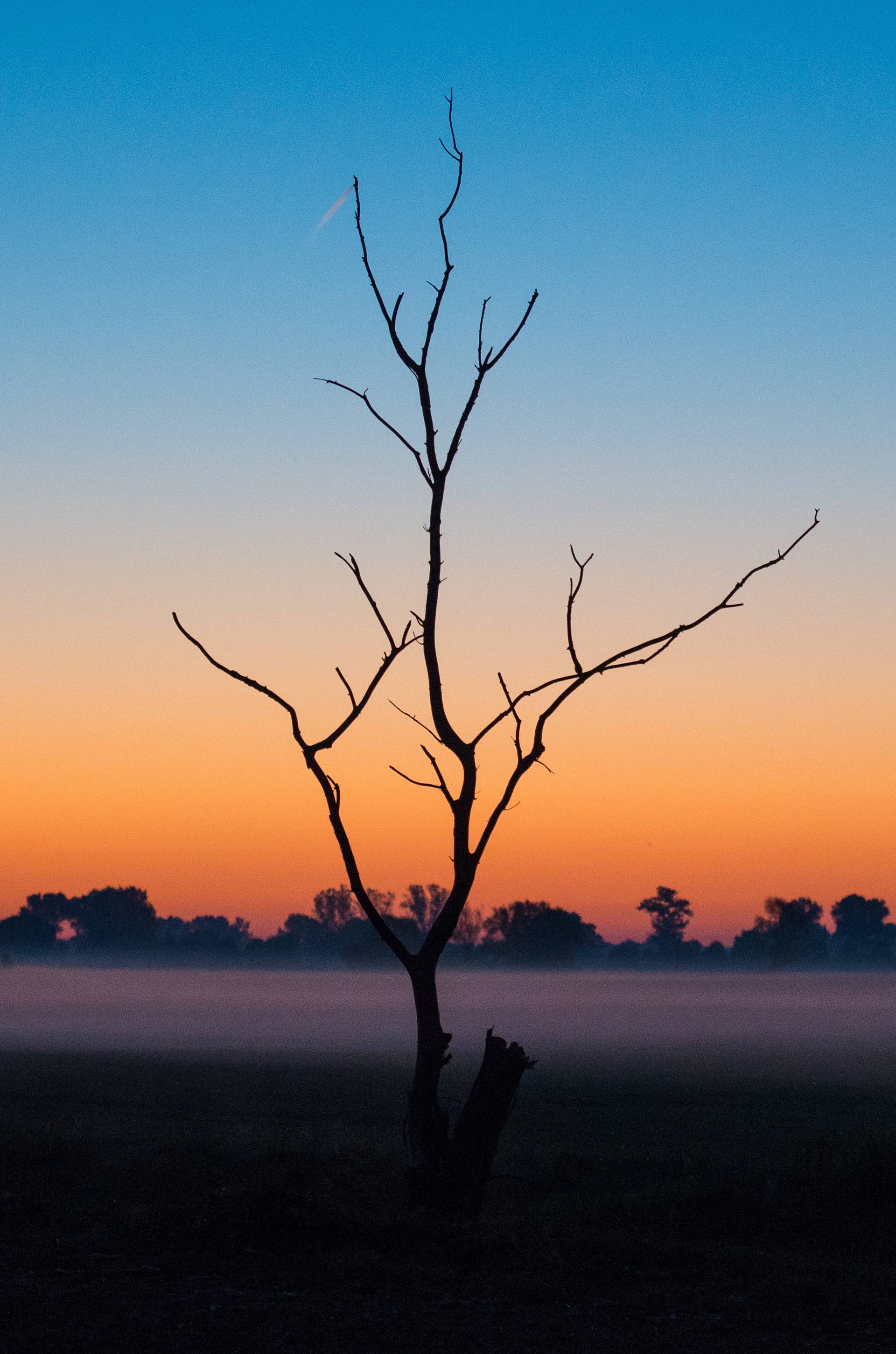 Morning mood in Brandenburg