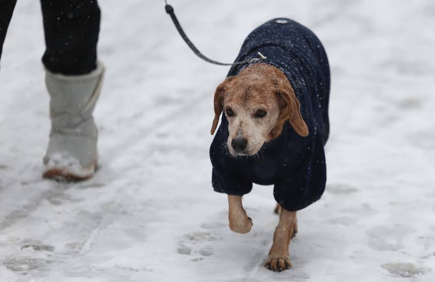 Zagreb: Maksimir, jedno od omiljenih mjesta za sanjkanje, grudanje ili šetnju po snijegu