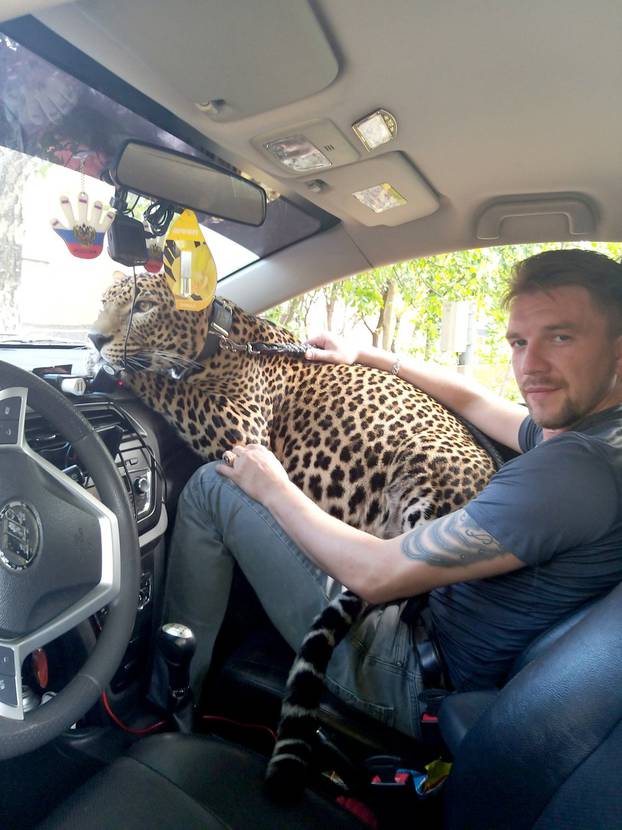 LEOPARD AS A PET