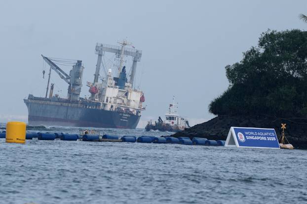 World Aquatics Championships