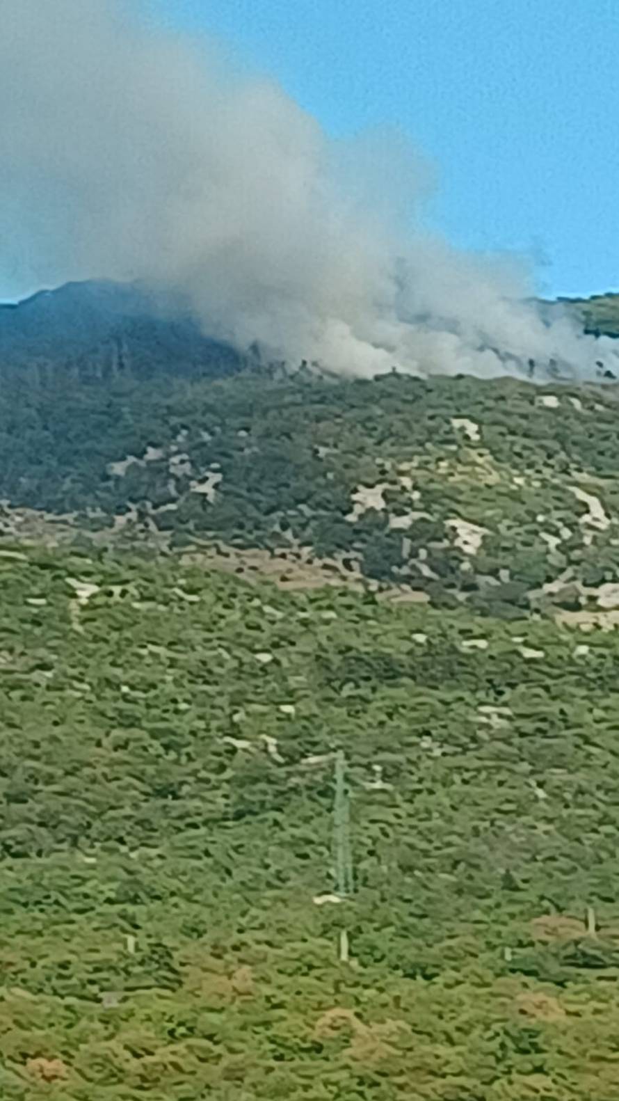 Gori šuma iznad Hreljina, na terenu je 49 vatrogasaca