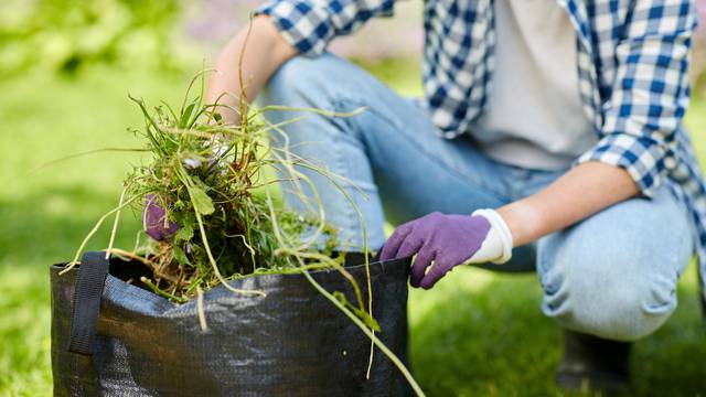 Sami čupajte korov umjesto da rabite herbicide i čuvajte okoliš