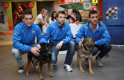 Dinamovci su spasili pse, Ivo  Pinto i Jerko Leko imaju ih pet