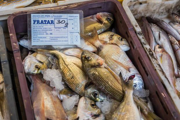 Split: Bogata ponuda ribe petkom u splitskoj ribarnici