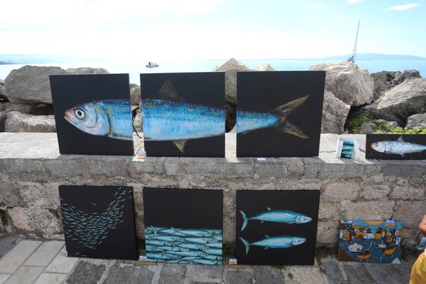 Volosko: Mandrać 2025 međunarodno sliikarsko natjecanje