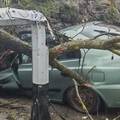 FOTO Stablo zdrobilo auto u Podsusedu! Zbog nevremena prometni kolaps u centru ZG-a