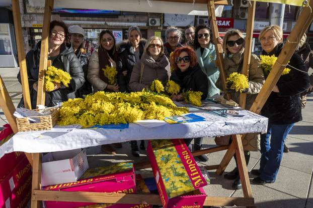 Dan mimoza obilježen je i u Osijeku