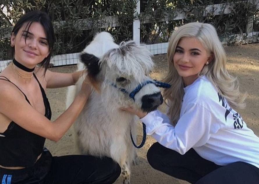 Kirurg ili Photoshop? Kendall šokirala fanove novim izgledom