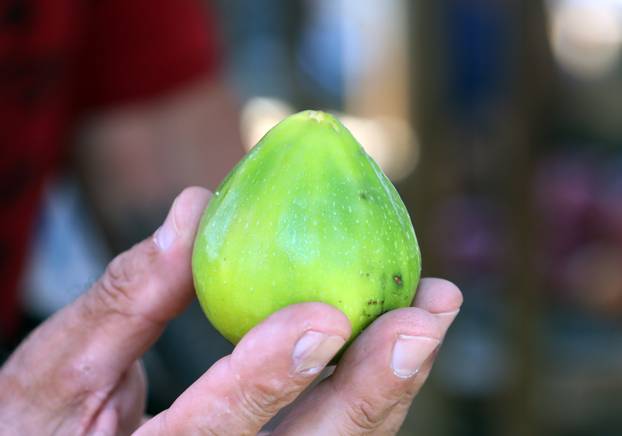 Šibenik: Na tržnicu stigle smokve po cijeni od 4-6 eura po kilogramu