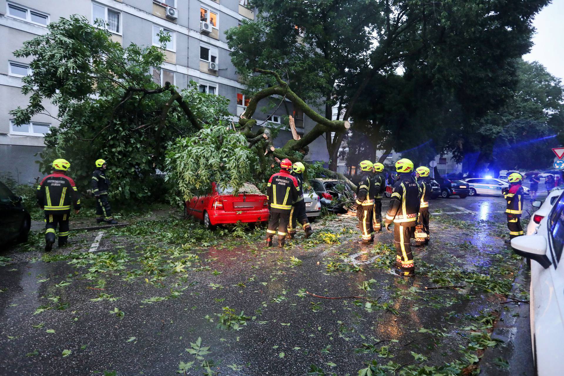 VIDEO Urušilo se staro stablo u Zagrebu, ženu zarobilo u autu: 'Potresena je, ali izvukli smo je'