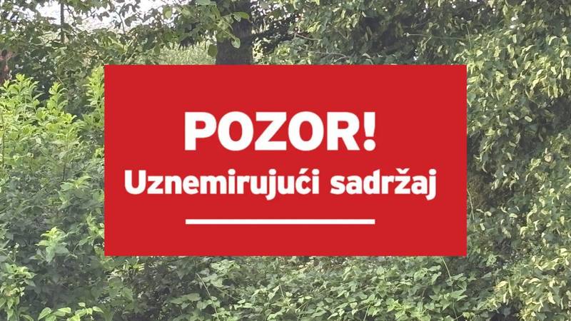 FOTO Uznemirujući prizori iz Vanića: Pronađeni leševi pasa i teško zgladnjele životinje