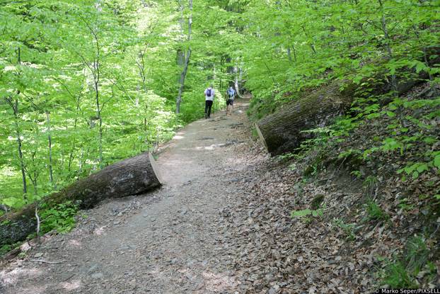 Zagreb: Tri tjedna nakon razorne oluje na Sljemenu i dalje vidljive posljedice 