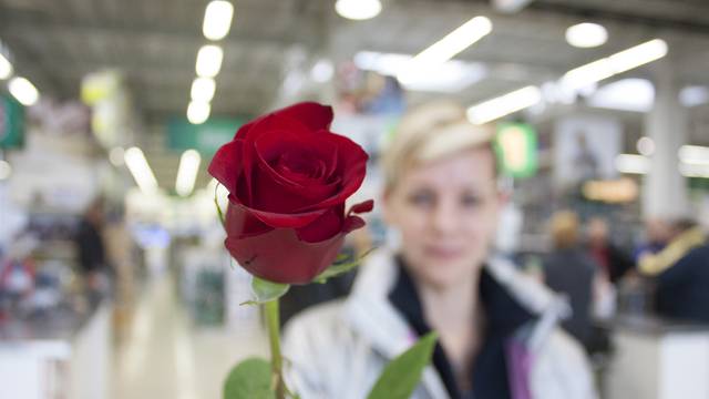U Pevecu se slavi Dan žena: 10000 ruža kao dar ženama