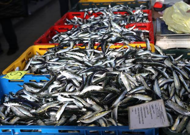 Šibenik: Ponuda ribe na korizmeni petak