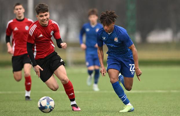 Zagreb: Utakmica kadeta Dinamo - Kustošija